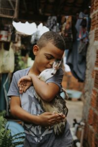 Photo of a Boy Cuddling a Duck in a Patio